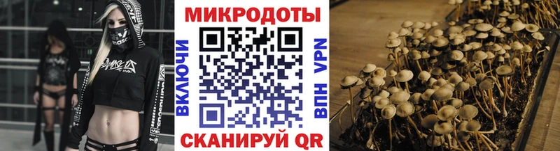 KRAKEN сайт маркетплейс какой сайт Псилоцибиновые грибы GOLDEN TEACHER Усмань